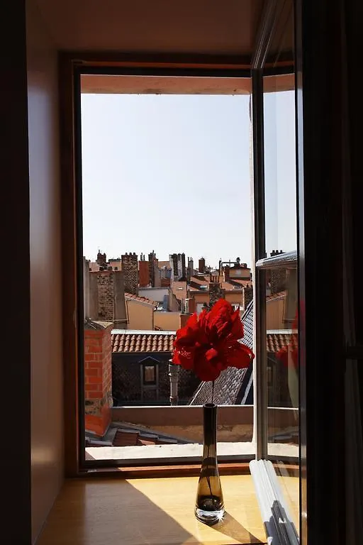 Les Toits De Lyon Daire Fransa