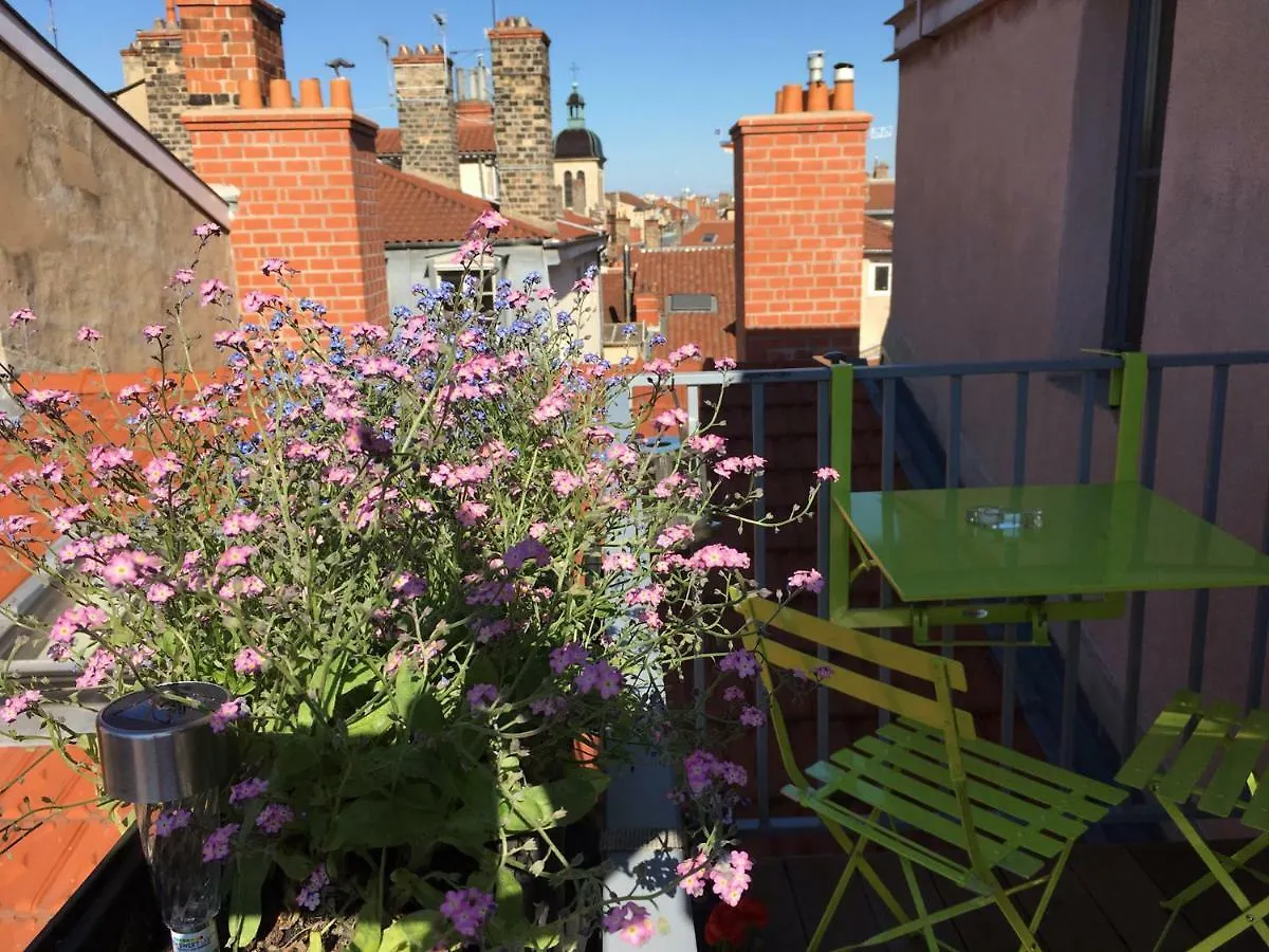 Les Toits De Lyon Daire
